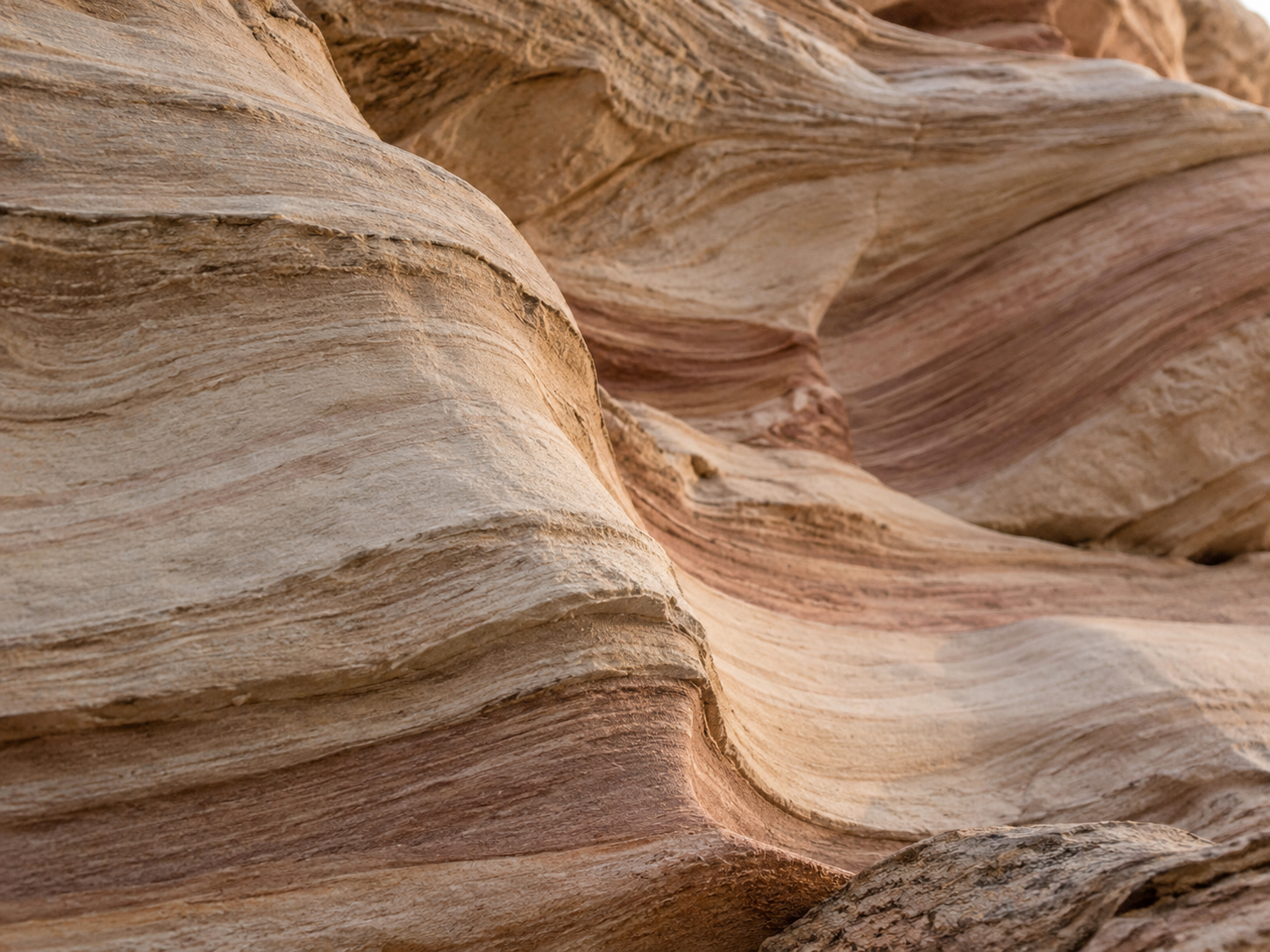 wildfitness-ethos-sandstone-v1 https://wildfitness.com/wp-content/uploads/2020/12/wildfitness-ethos-sandstone-v1.png