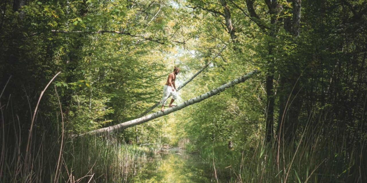 Natural movement retreats in nature