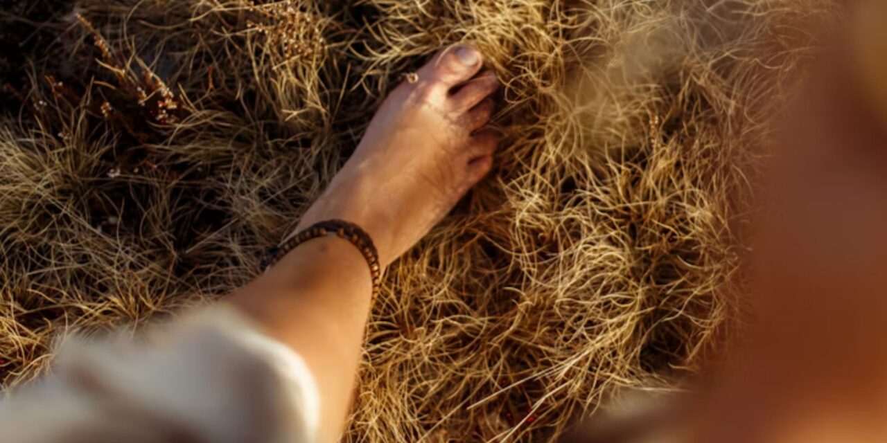 Why nature improves mental wellbeing