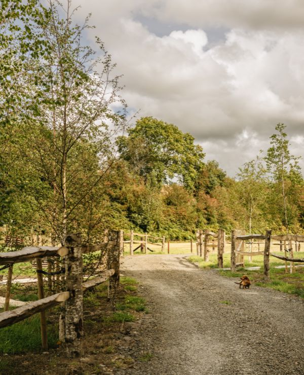 https://wildfitness.com/wp-content/uploads/2026/05/Wales-discover-deeper-3-1.jpg