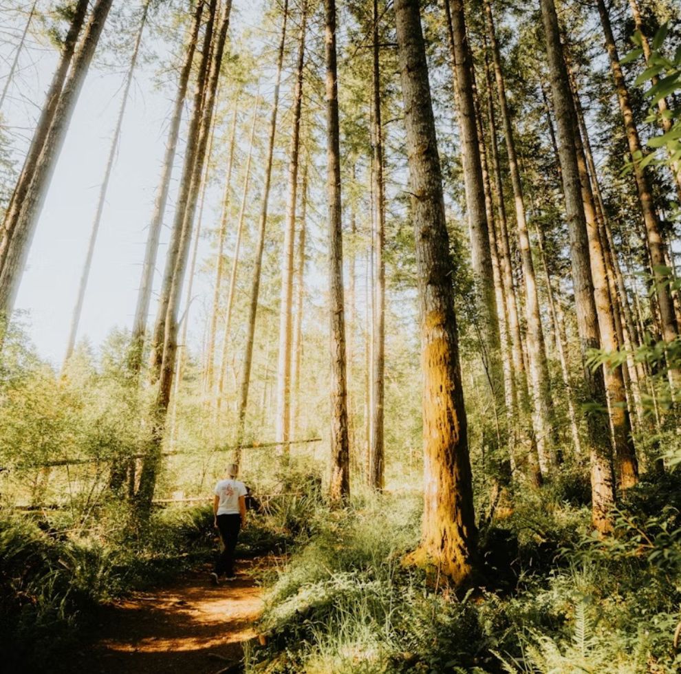 Wales-discover-join-us-2 https://wildfitness.com/wp-content/uploads/2026/06/Untitled-design-13.jpg